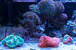 202018DSC04345