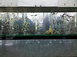 IMG 20181223 093159