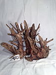 IMG 2362