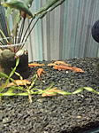 IMG 20181221 085642