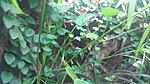 IMG 20181209 134707