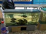 IMG 20181223 094034
