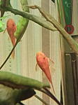 IMG 20181216 160833