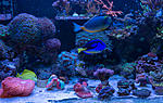 202018DSC04346
