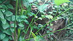 IMG 20181209 134810