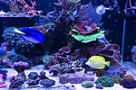 202018DSC04347
