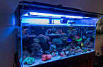 202018DSC04338