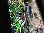 IMG 1772