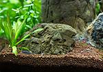 IMG 6063 2