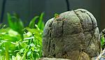 IMG 6057 2