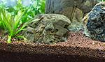 IMG 6099 2