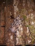 photo 2019 02 04 19 21 53