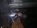 photo 2019 02 04 21 23 40
