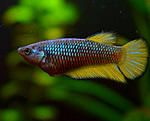 DSC 0238
