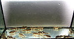 IMG 5146