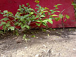 IMG 20190501 094330
