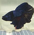 20190517 123726