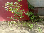 IMG 20190501 094432