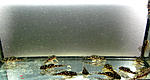 IMG 5151