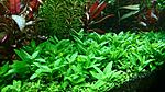 DSC 0458