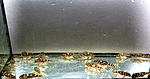 IMG 5144