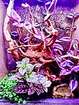 IMG 20190602 105139 EFFECTS