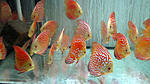 IMG 5216