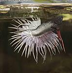 IMG 5718