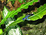 IMG 9070