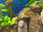 IMG 20190820 164442