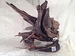 IMG 3562