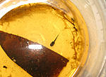 IMG 8938