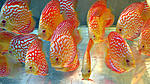 IMG 5251