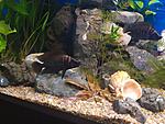IMG 20190820 164349