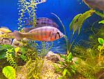 IMG 20190820 164654