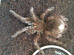 IMG 20190720 144602 resize 63