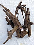 IMG 3638
