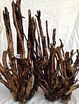 IMG 3675