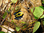 IMG 9450