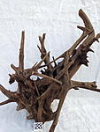 IMG 3637