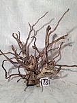 IMG 3608