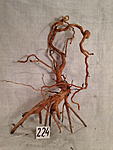 IMG 3749