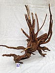 IMG 3575