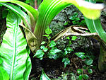IMG 9456