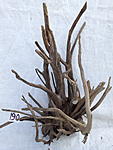 IMG 3641