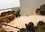 IMG 9451