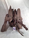 IMG 3581