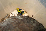 IMG 9452