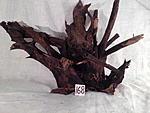 IMG 3591