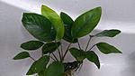 IMG 20191122 200721[1]
